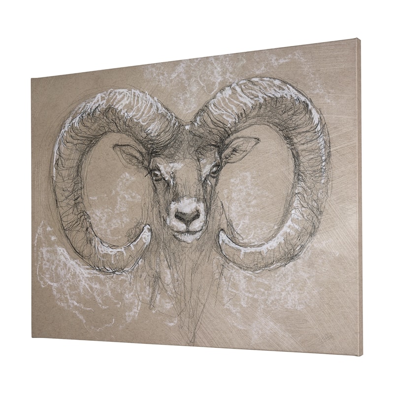 Sketch of Animal I (Wild Sheep) (40 x 30) Canvas Art Print