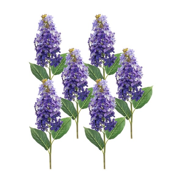 ◆ept◆ SANTOS LILAC EP5SN1ST28201 Santos (Lilac) – EPT