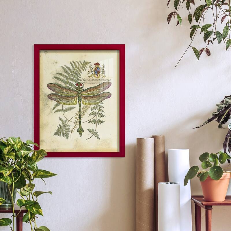 Regal Dragonfly III (PP) -Framed Print w/glass-Cherry Red