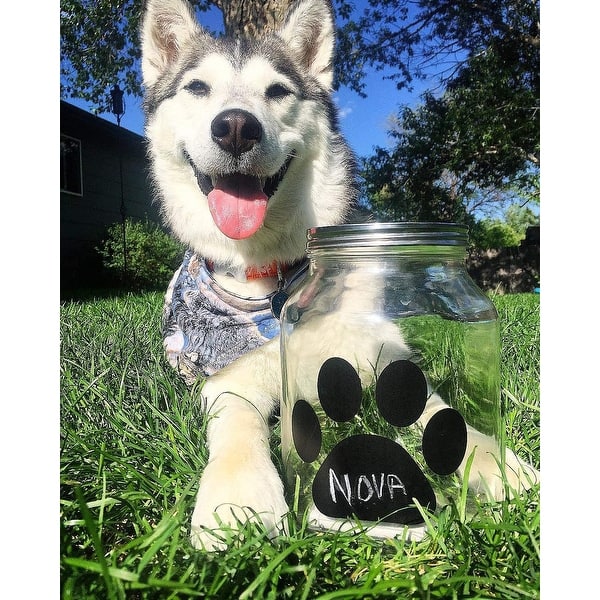 Amici Pet Maxwell Collection Clea Glass Aised Paw Eleif