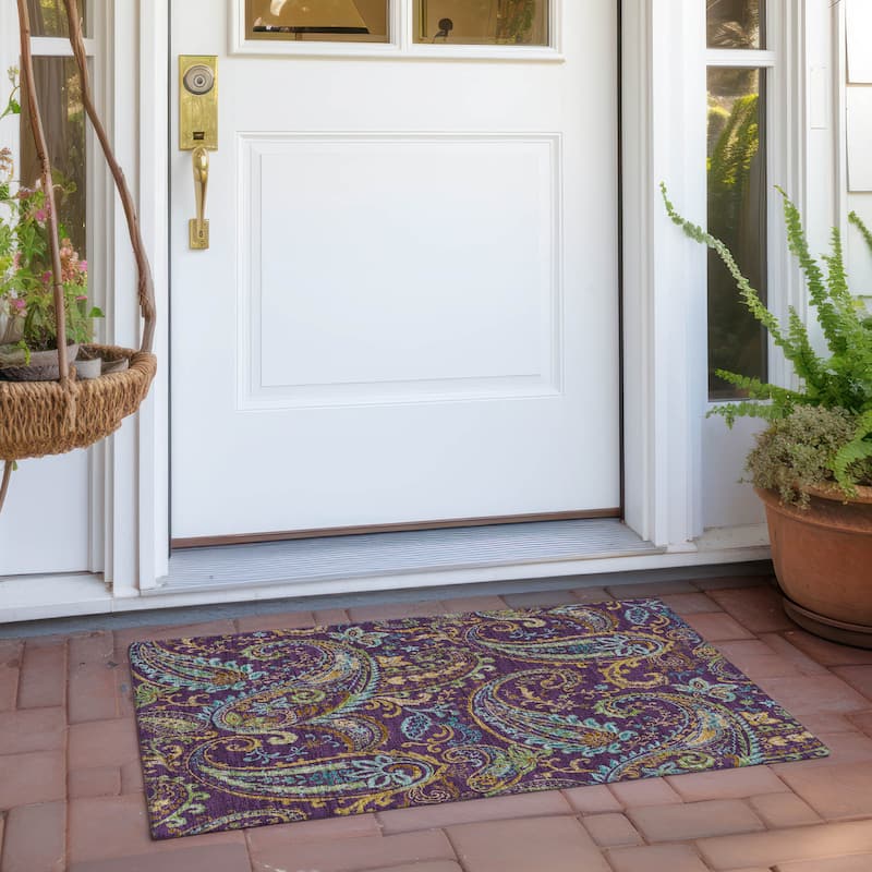 Machine Washable Indoor/ Outdoor Paisley Chantille Rug