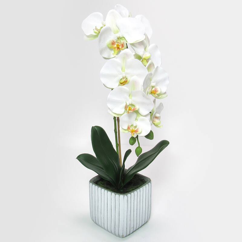 Cream White Artificial Phalaenopsis Orchid Flower Arrangement in Square Embossed Stripe Ceramic Pot 23in - 23" H x 9" W x 8" DP