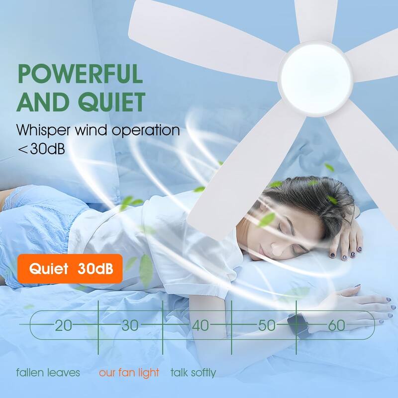 41 Inches Ceiling Fan with Light,5 ABS Blades,Flush Mount Low Profile Ceiling Fan with LED Light and Remote - 41 Inches