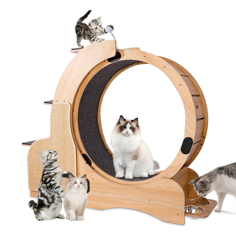 Cat tower with sales wheel