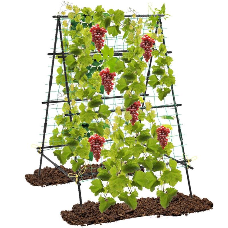 Black PE-Coated Metal A-Frame Garden Trellis with Netting Support - 41" x 51" x 59" (L x W x H)