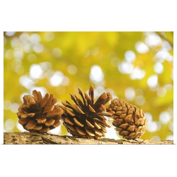 "Pinecones" Poster Print