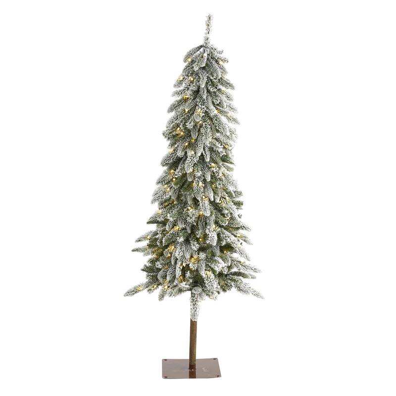 5.5' Flocked Washington Alpine Christmas Tree with 150 LED Lights - Green