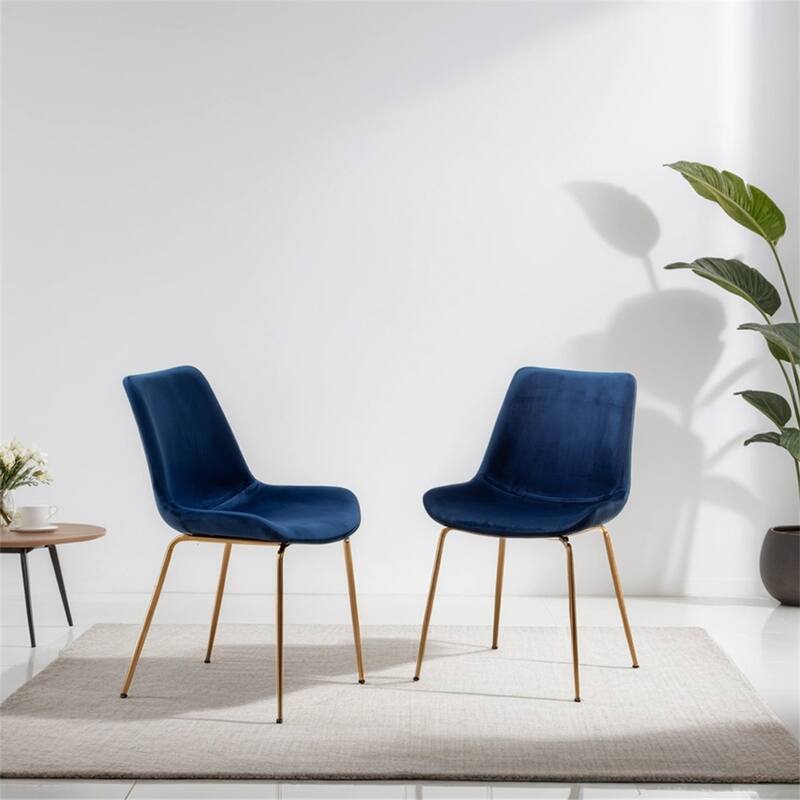 Modern Velvet Dining Chair,Set of 2