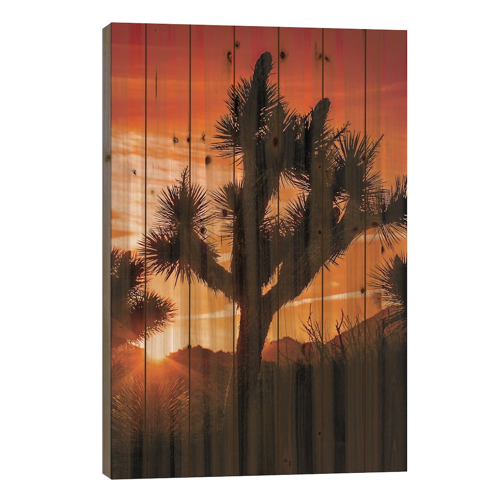 Joshua Tree Views V Print On Wood by Rachel Perry - Multi-Color
