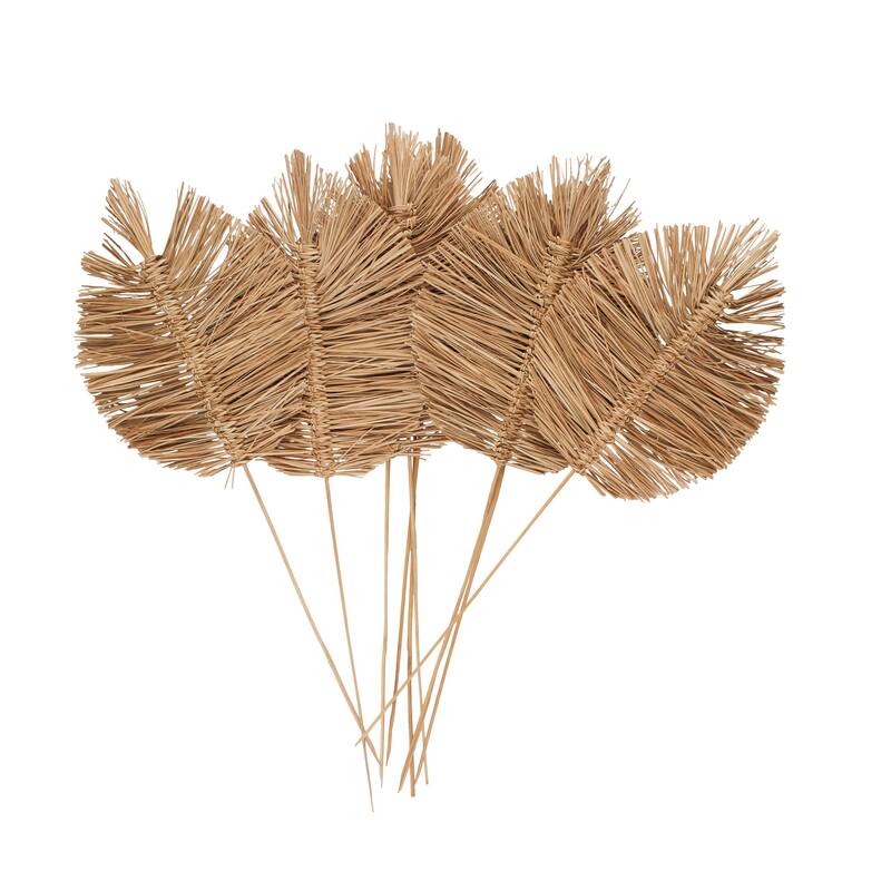 Brown Dried Plant Tall Spear Home Decor Natural Foliage with Sharp Stems