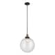 Option Black Antique Brass / Seedy