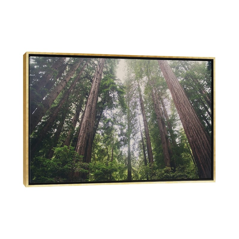 iCanvas "Muir Woods" by Laura Evans Framed Canvas Print - Gold - 26x40