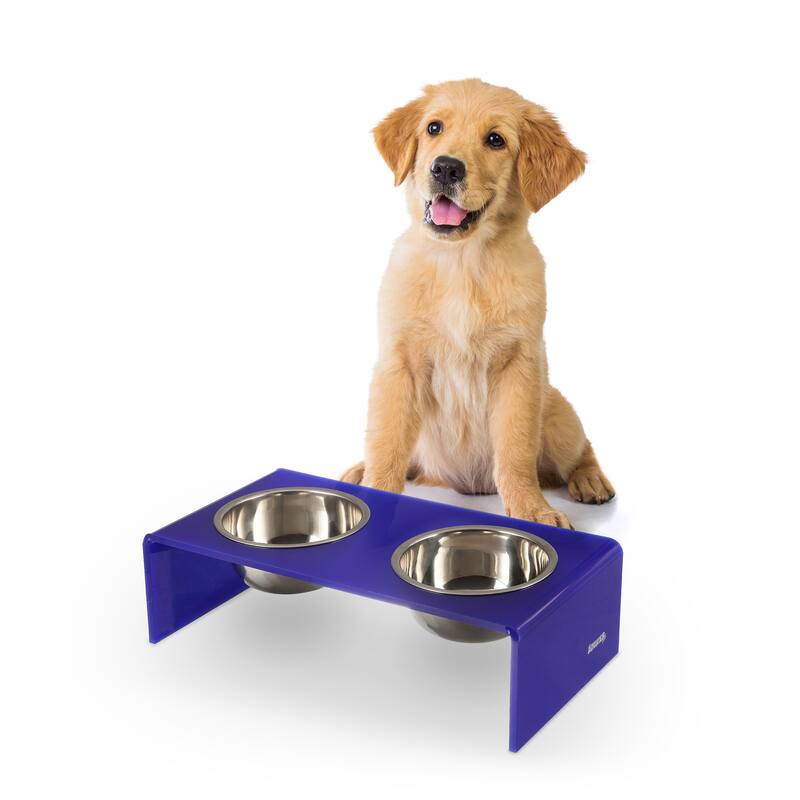 Keaton 5" Small/Medium Modern Lucite Rectangular Elevated Pet Feeder with 20oz 2-Stainless Steel Bowls - Purple/Chrome