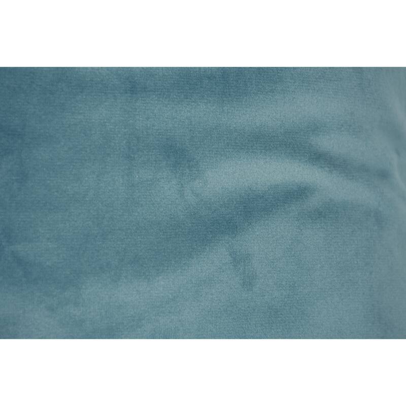 Renwil Worcester 20 X 20 Indoor Pillow, Light Blue