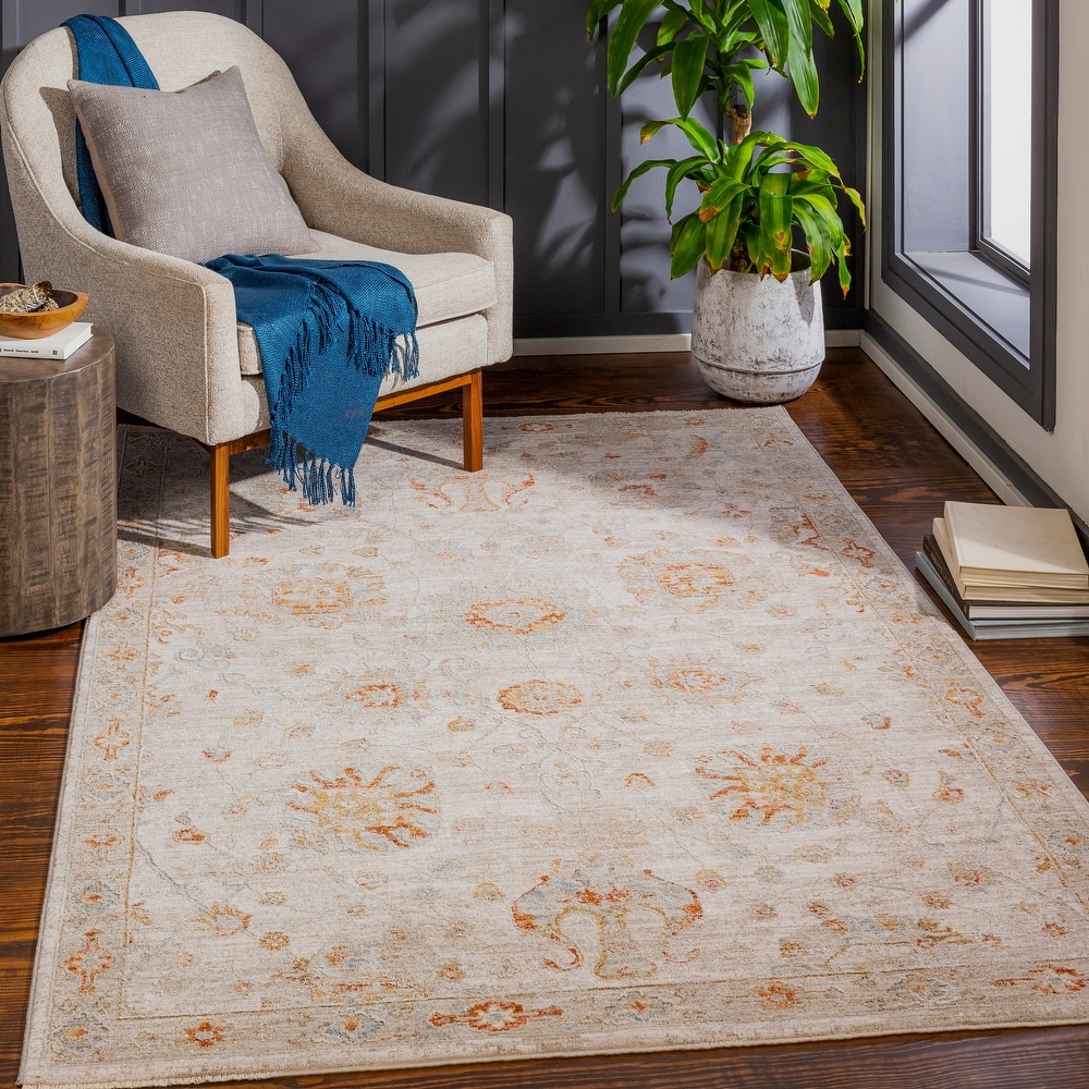Livabliss Tritan Traditional Area Rug
