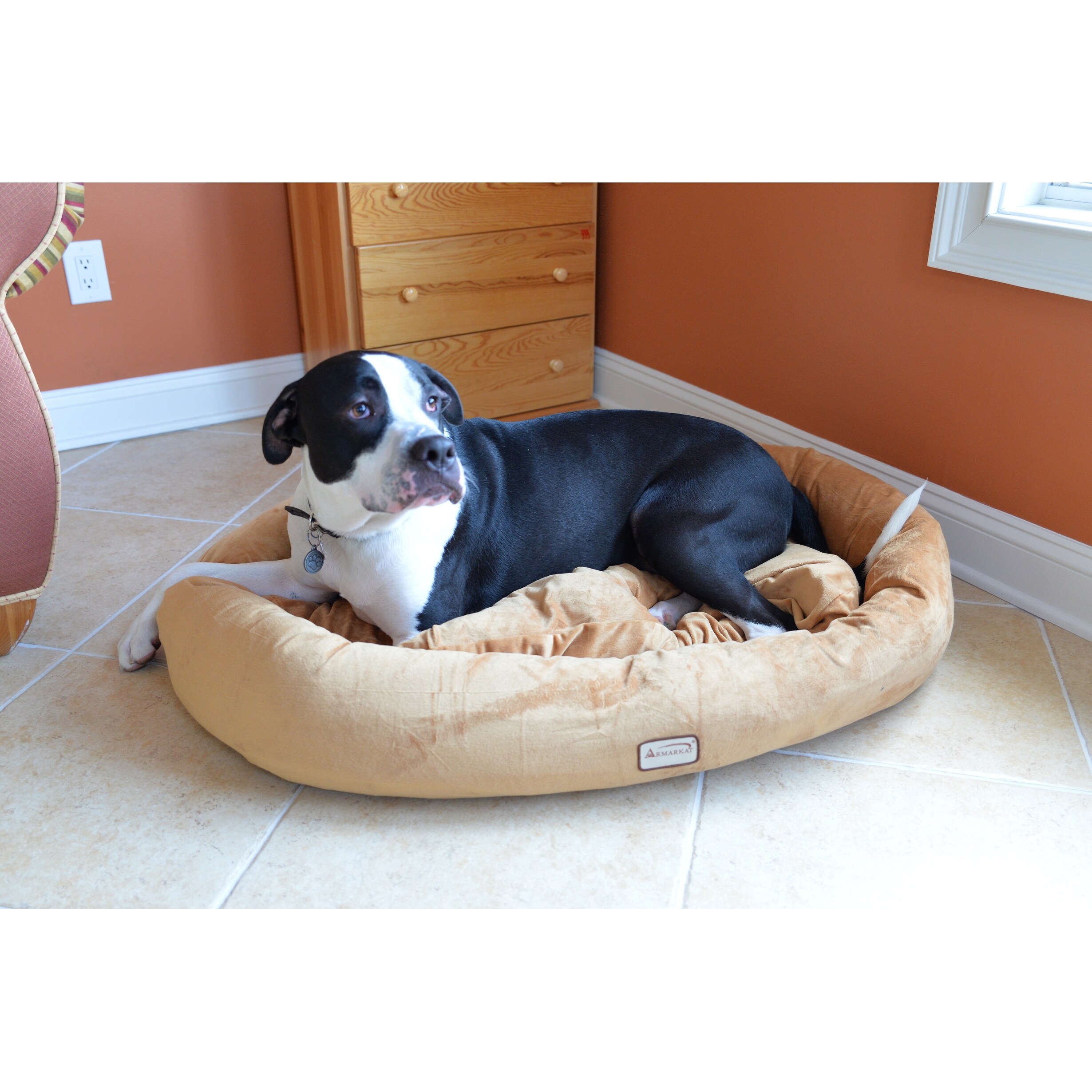 armarkat dog bed