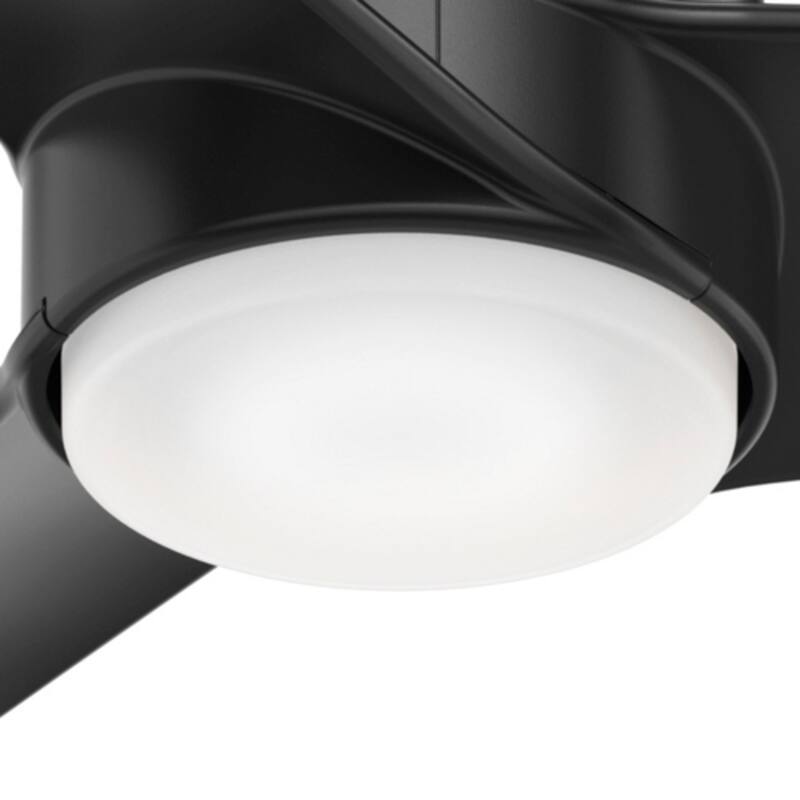 Hunter 54" Havoc WeatherMax Outdoor Ceiling Fan with LED Light Kit and Wall Control