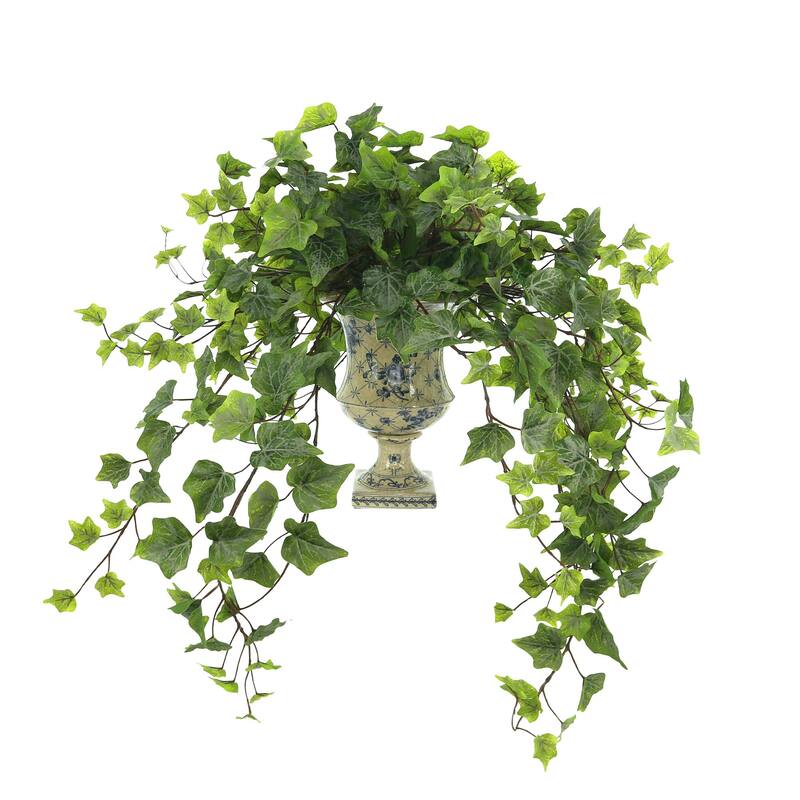 Ivy Arrangement in a Decorative Ceramic Vase - Green