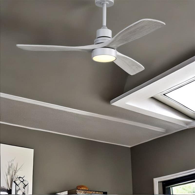 Ceiling Fan Light with 6 Speed Remote - N/A