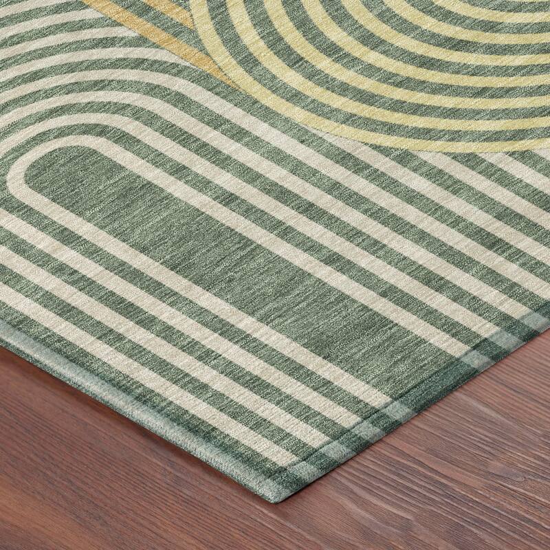 Machine Washable Indoor/ Outdoor Modern Basehor Chantille Rug