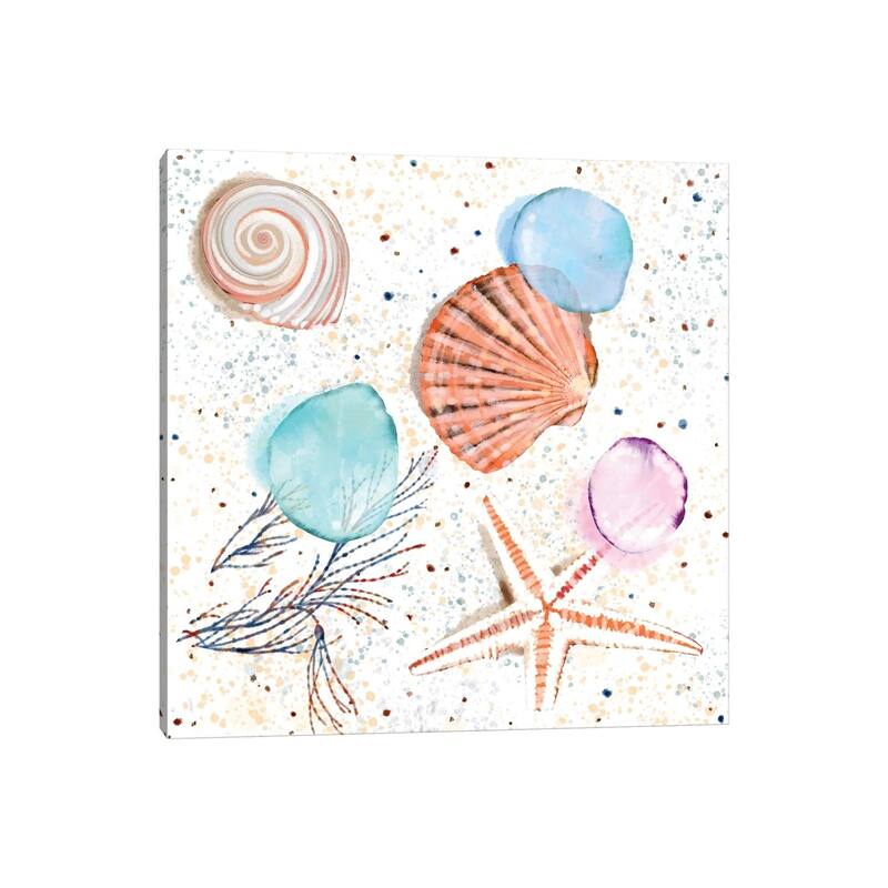 iCanvas "Shells Sand and Seaglass" by Thomas Little Canvas Print