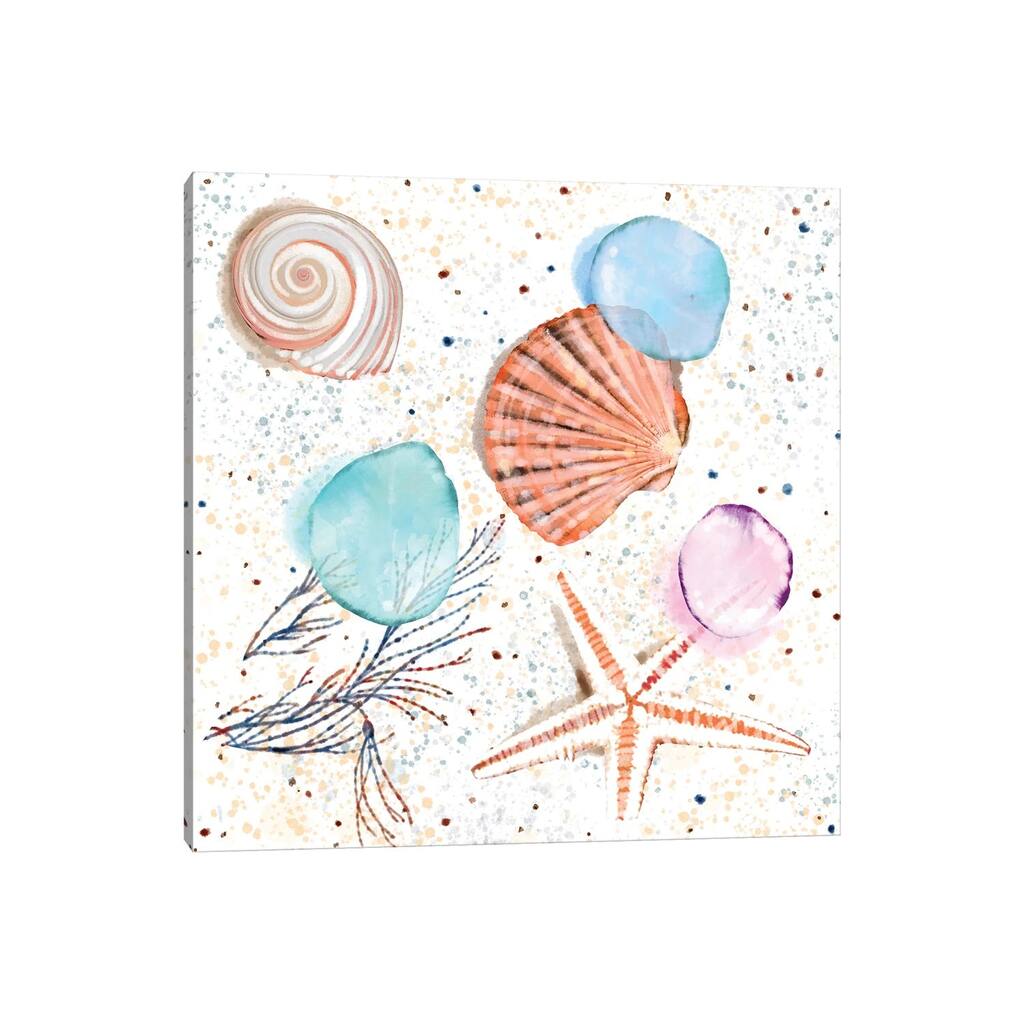 iCanvas "Shells Sand and Seaglass" by Thomas Little Canvas Print