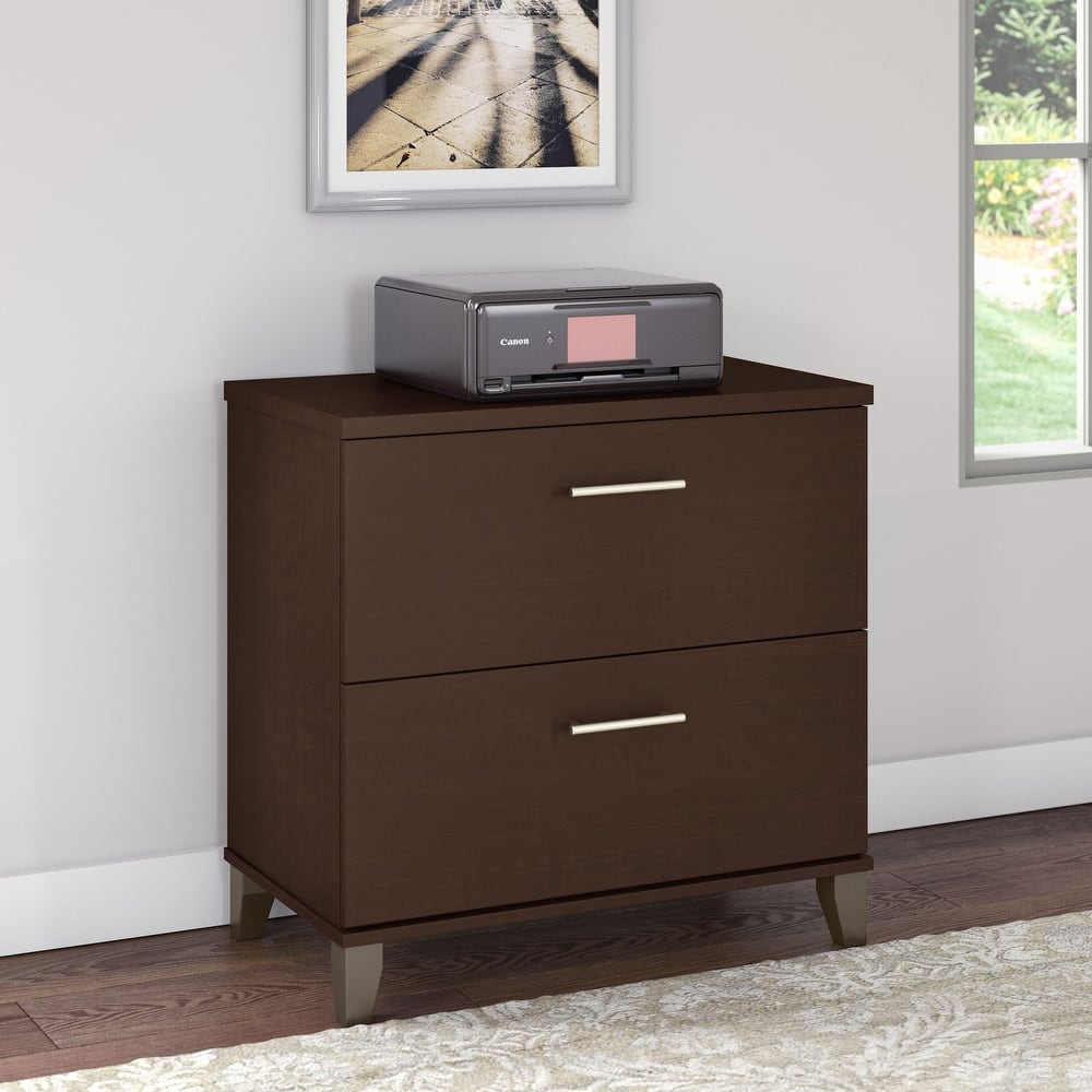 Bush Furniture Somerset 2 Drawer Lateral File Cabinet with Storage