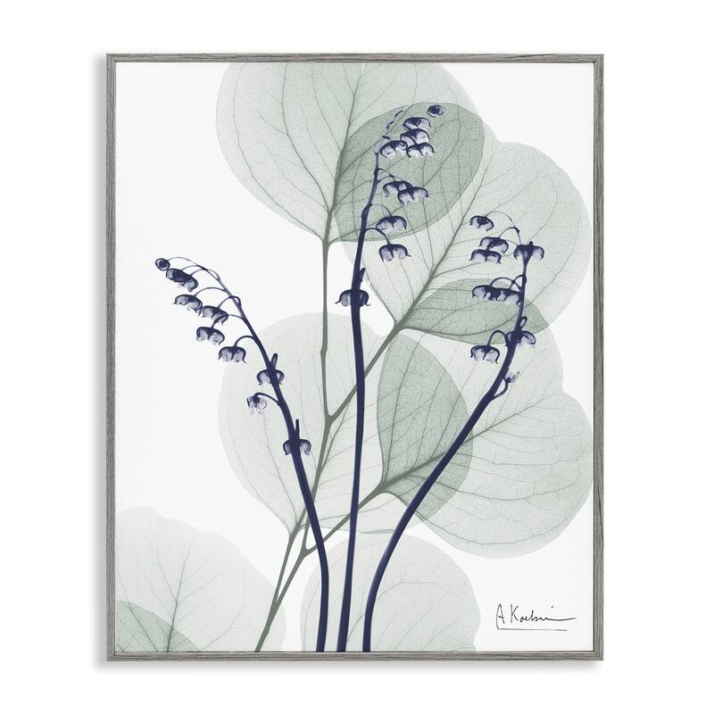 Stupell Serene Modern Eucalyptus Framed Giclee Art Design By Albert Koetsier - 24 x 30 - Grey