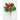 8" Pine Cone and Berry Pick, Set of 12 - Multicolor - 8