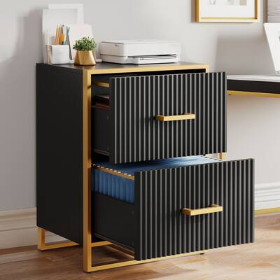 Moasis Black 2 Drawer Lateral File Cabinet with Gold Frame