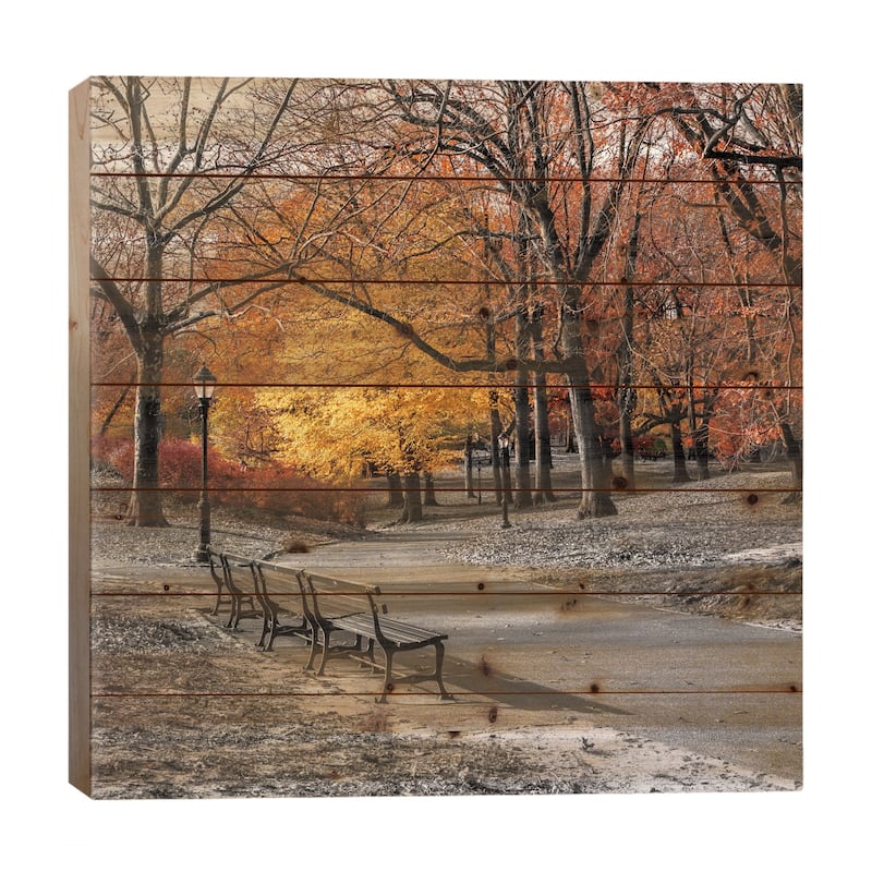 Park Pretty I Print On Wood by Assaf Frank - Multi-Color - 26x26x1.5
