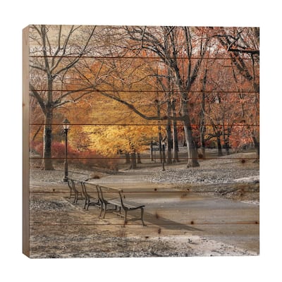 Park Pretty I Print On Wood by Assaf Frank - Multi-Color