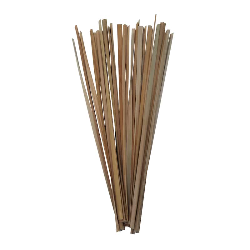 Dried Hogla Babala Bamboo Natural Foliage Collection - Multiple Colors