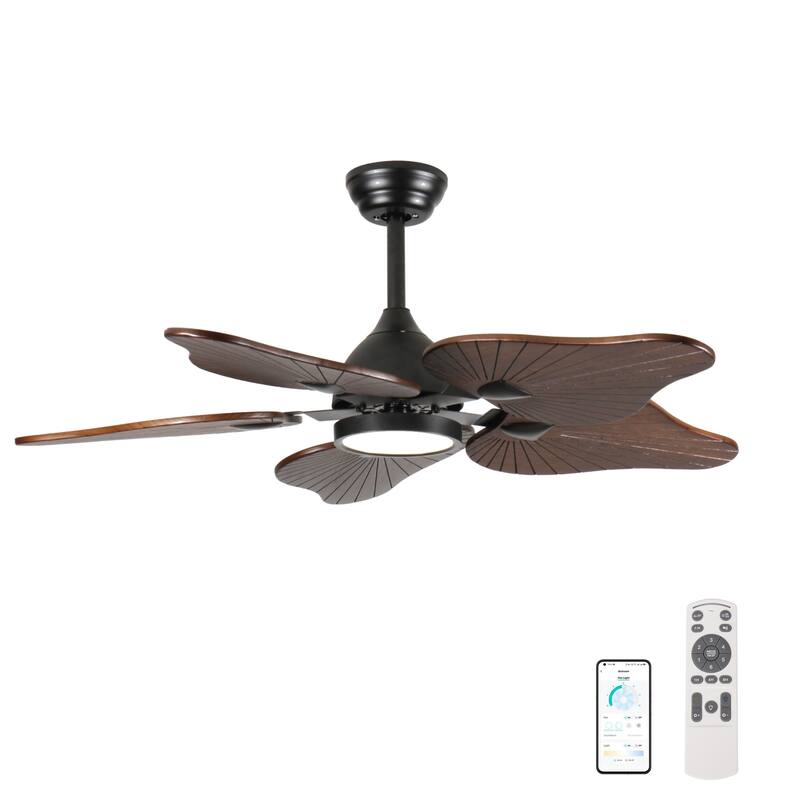 44-Inch Ceiling Fan with Light, 5 Solid Wood Blades, DC Motor, APP & Remote Control, Dimmable Full-Spectrum LED - Acacia Wood - Acacia Wood