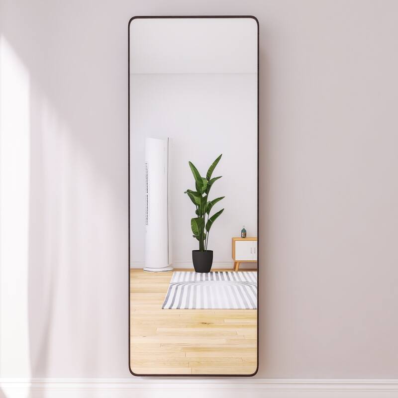65 x 22in Full Length Dressing Mirror with Frame Standing or Hanging