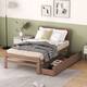 Option Walnut