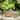 RusticReach Patterned Rattan Cement Planter