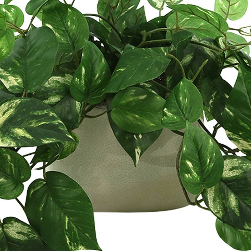 Pothos Arrangement in Ceramic Pot