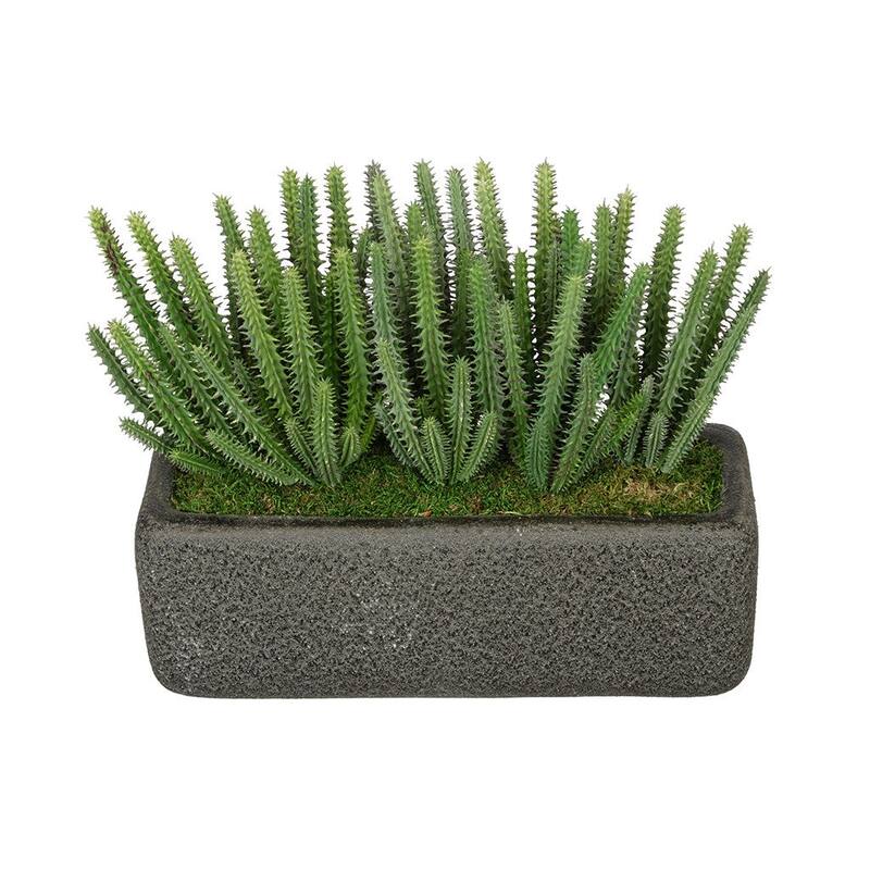 Faux Organ Pipe Cactus Garden in Black Sandy-Texture Ceramic Vase