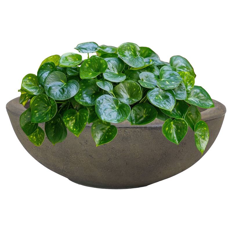 Sunnydaze Percival Outdoor Double-Walled Flower Pot Planter - 20.75"