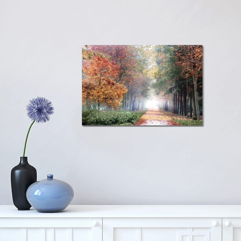 iCanvas "Breath" by Irene Weisz Canvas Print - 12x18x1.5