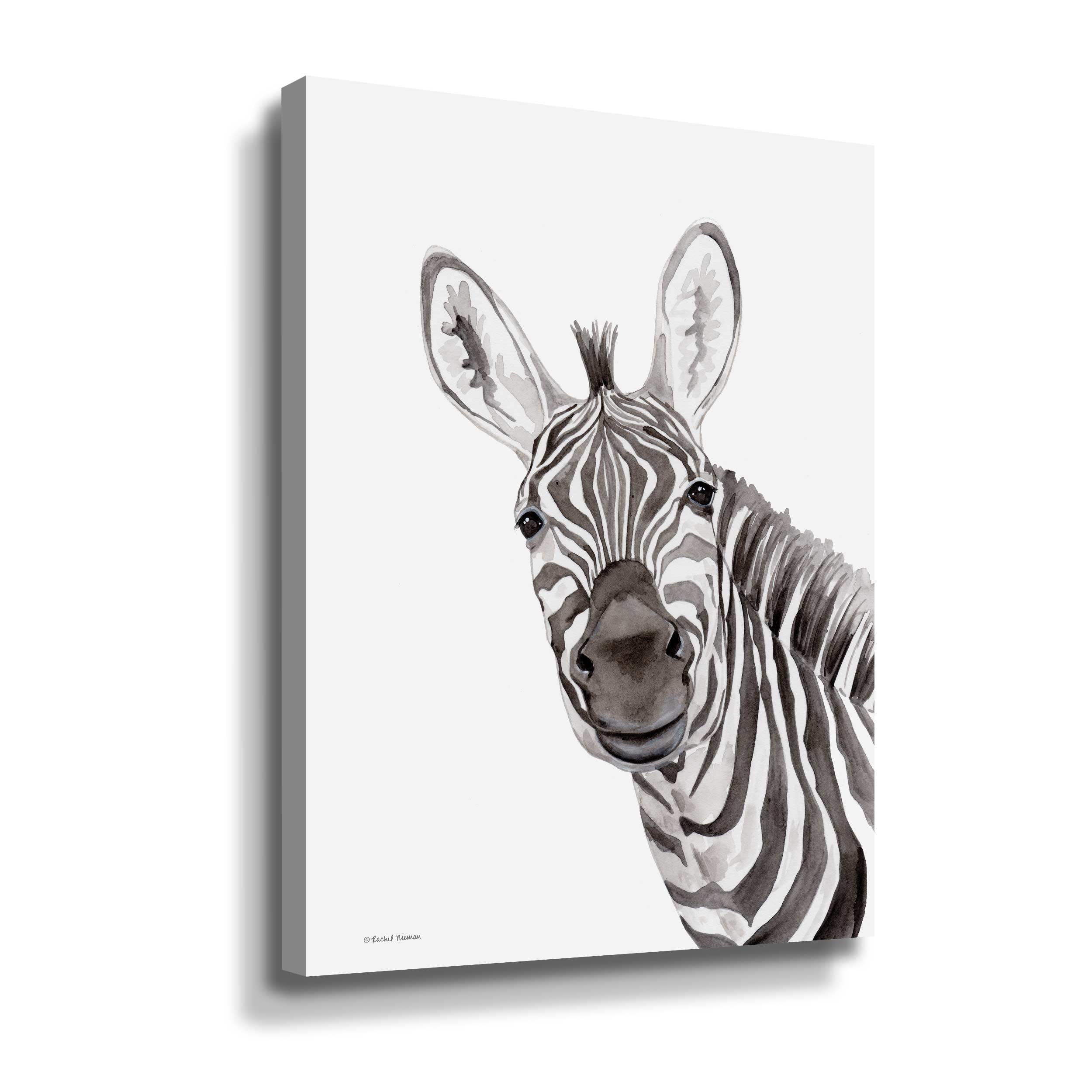 Safari Zebra Peek-A-Boo Gallery Wrapped Canvas - Bed Bath & Beyond
