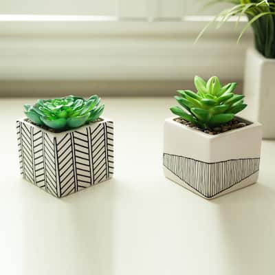 SET OF 2 Artificial Plant Succulent in 3" TRIBAL eramic Pot - ONE-SIZE