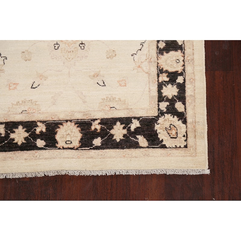 Vegetable Dye Peshawar Chobi Oriental Floral Runner Rug Wool Handmade - 3'2" x 9'7"