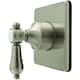 Option Brushed Nickel