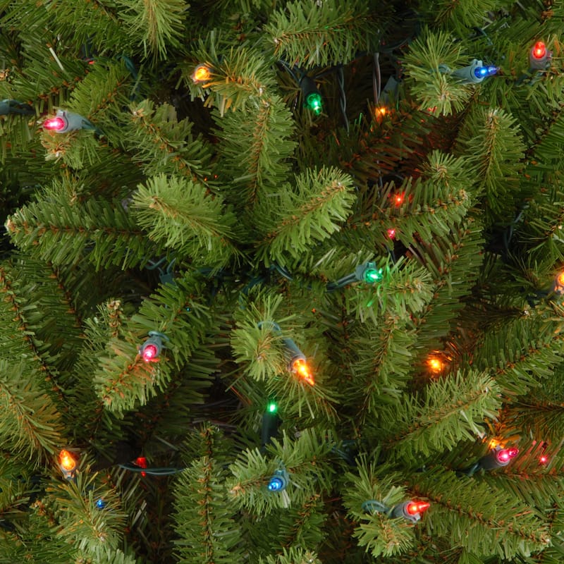 National Tree Company 6.5 ft. Kingswood Fir Hinged Pencil Tree with 250 Multi Lights
