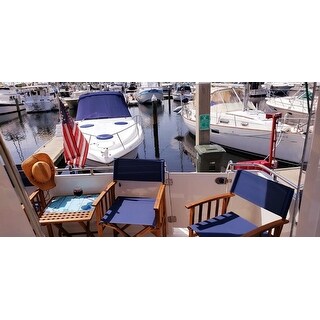 Safavieh Outdoor Living Laguna Blue Director Chair (Set of 2)