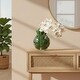preview thumbnail 2 of 3, Orchid and Philodendron Arrangement - 18