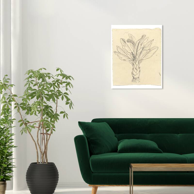 Wynwood Studio Canvas Floral and Botanical Sketch of a Leafy Green Black and Cream White Traditional Wall Art Canvas Print - 24 x 20