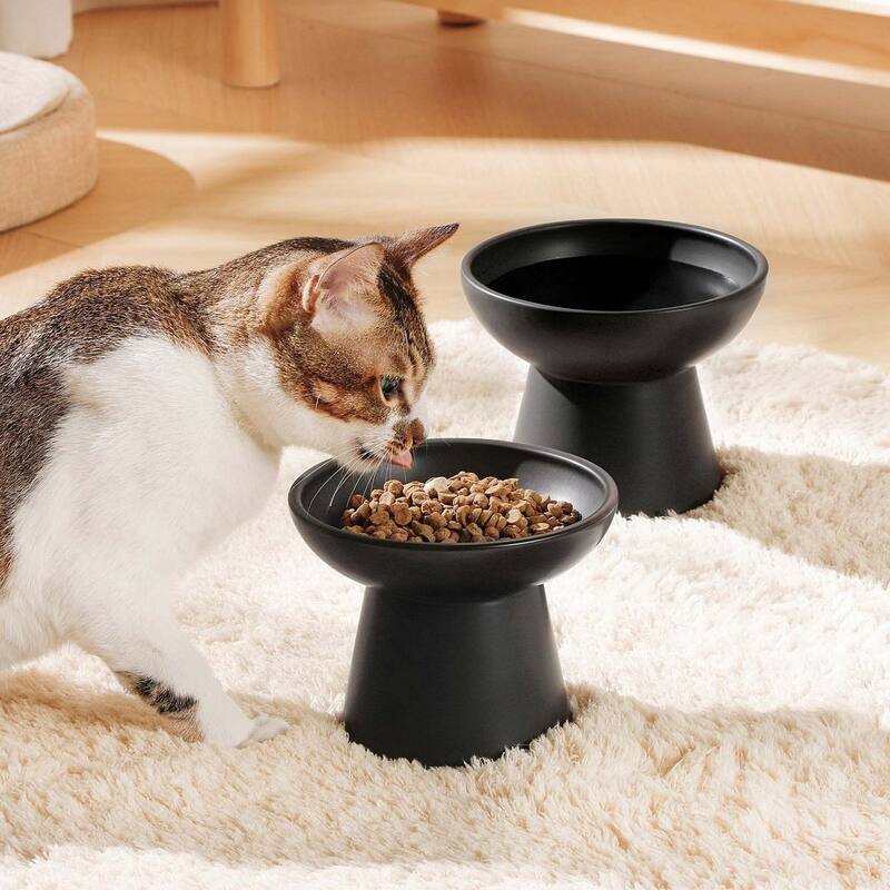 vancasso Elevated Stoneware 2-Piece Raised Dog & Cat Bowl Set